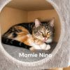 mamie nina