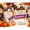 Miette