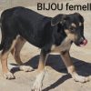 Bijou