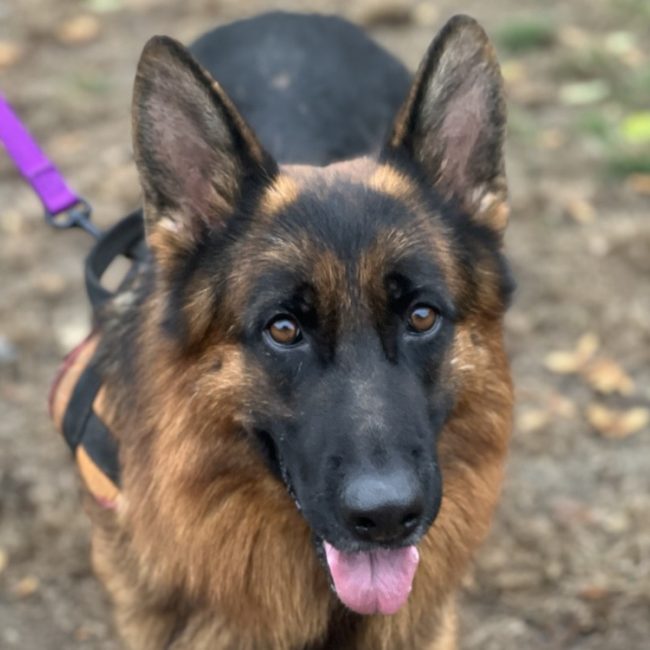 Upper