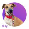BILLY