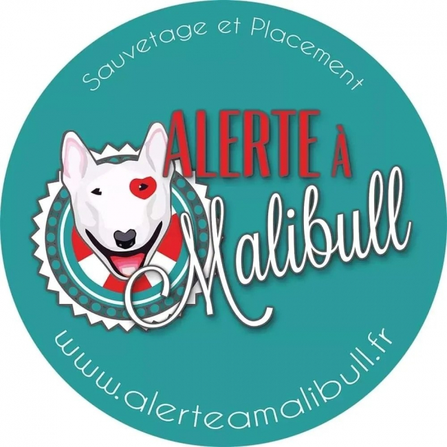 Photo de Alerte à Malibull