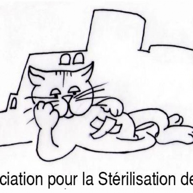 Photo de ASCA