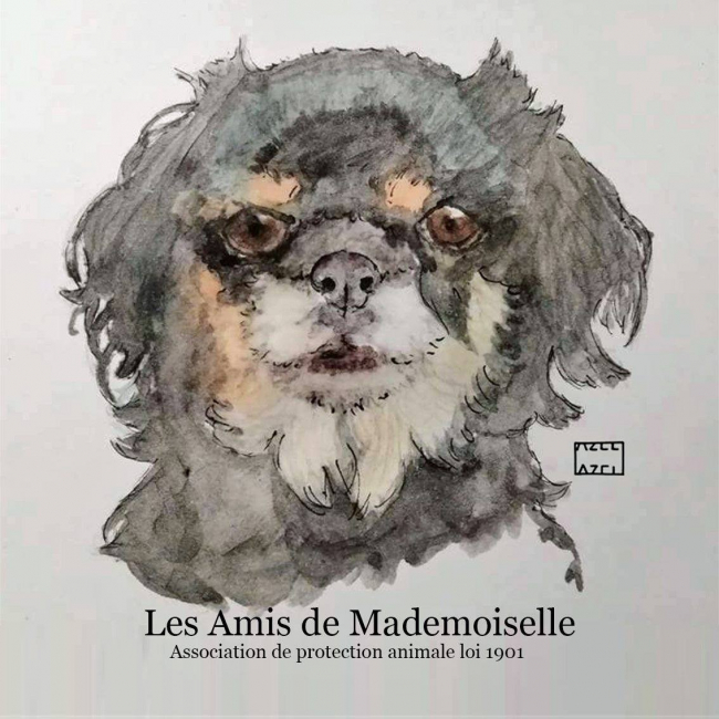 Photo de Les Amis de Mademoiselle (LADM)