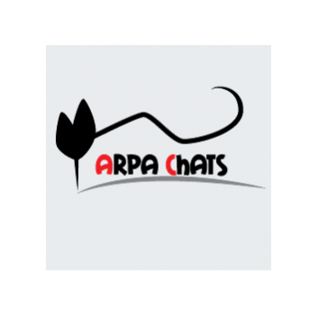 Photo de ARPA CHATS