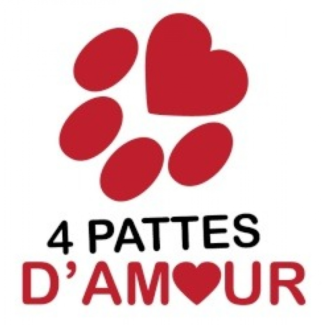Photo de 4 pattes d'amour