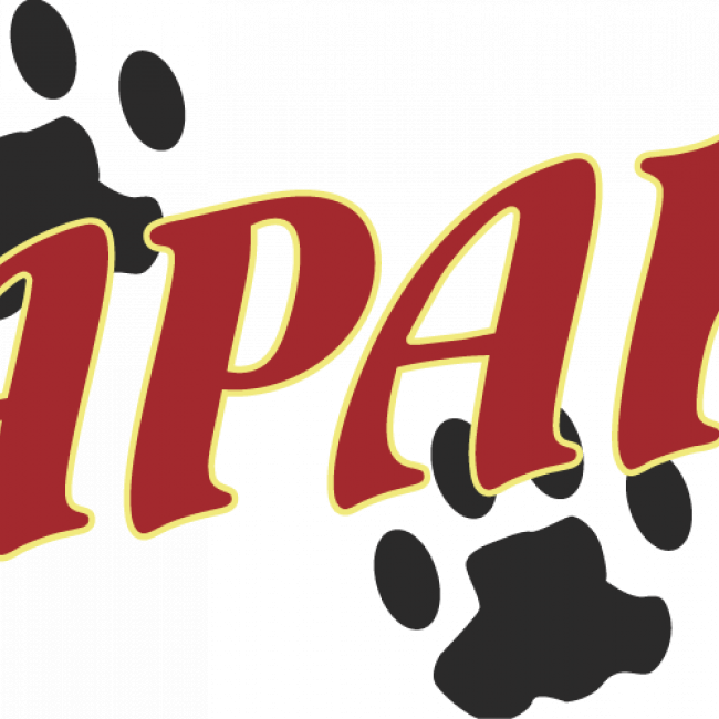 Photo de APAK -association de protection animale de Kerdino