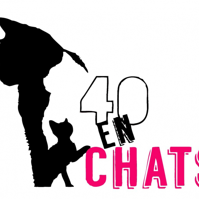 Photo de 40 En Chats