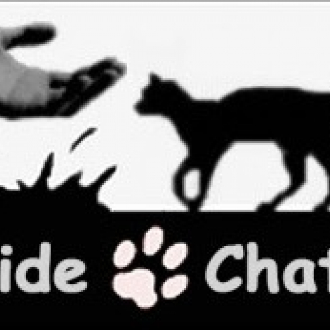 Photo de Aide Aux Chats