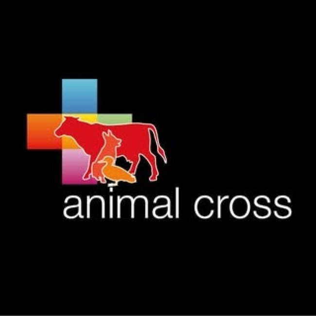 Photo de Animal Cross