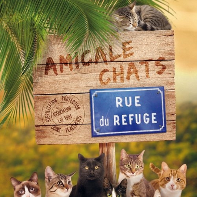 Photo de Amicale Chats