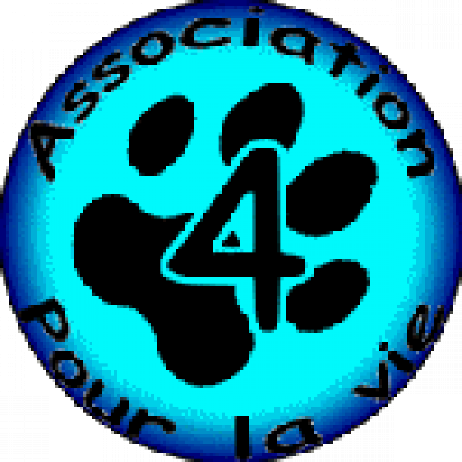 Photo de 4 Pattes pour la Vie