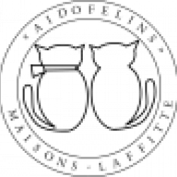 Aidofélins ML
