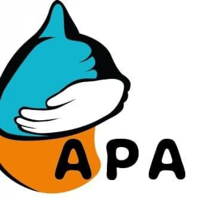 Photo de Amour et Protection des Animaux - A.P.A