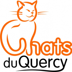 Chats du Quercy