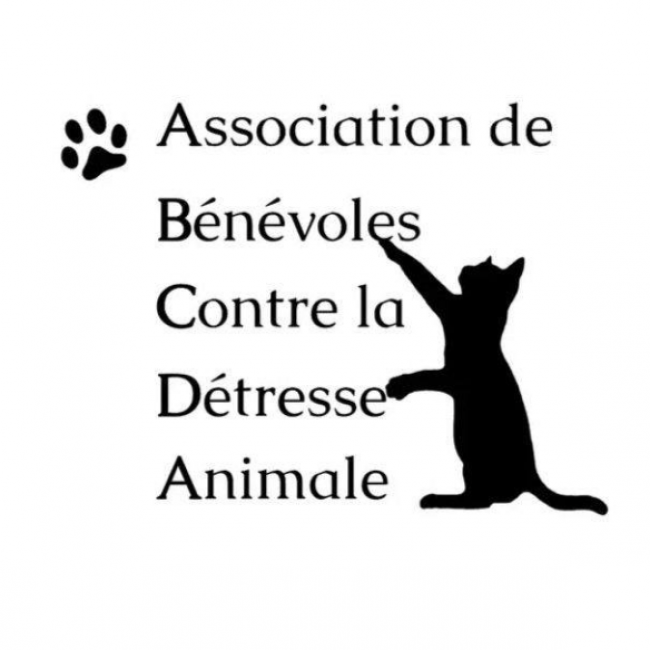 Photo de ABCDA