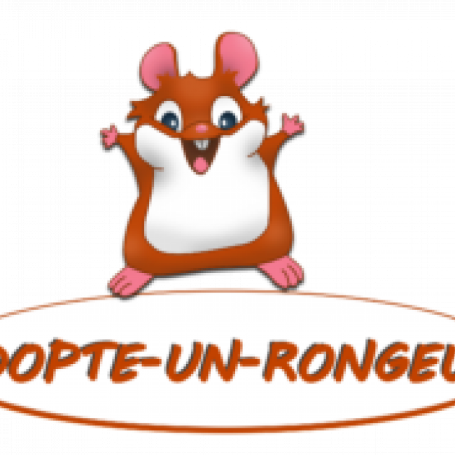 Photo de Adopte-un-Rongeur