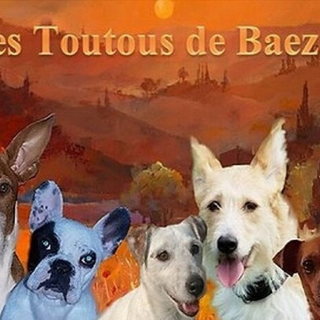 Photo de Amis des Toutous de Baeza