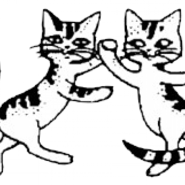 Photo de Ecole du Chat Libre du Parisis