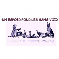 Un espoir Pour les Sans Voix
