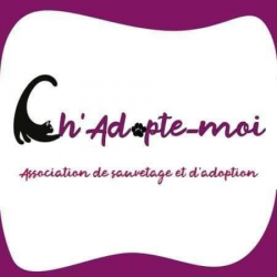Ch'Adopte-moi
