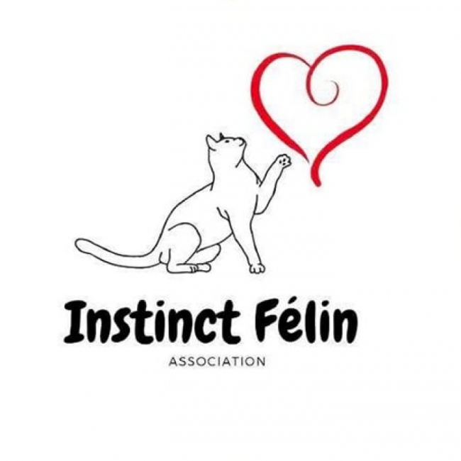 Photo de Instinct Félin