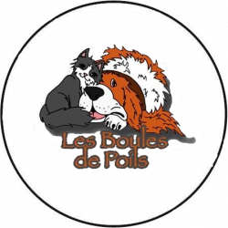 Les Boules de poils
