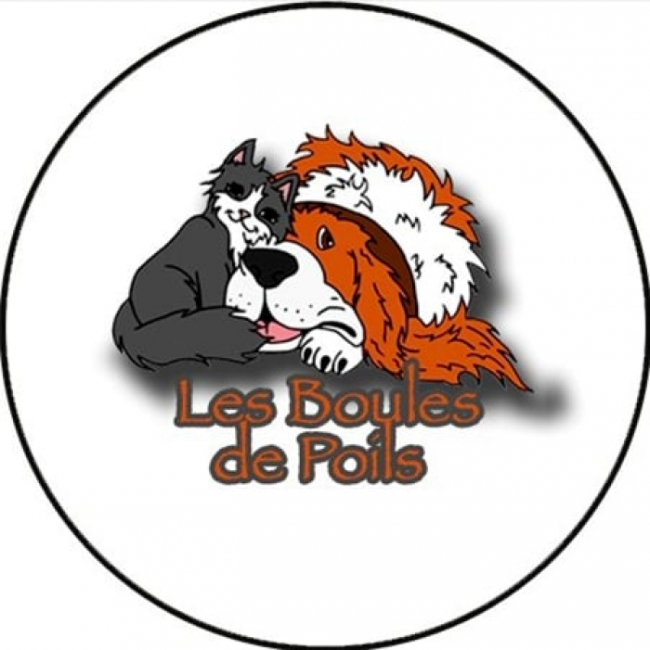 Photo de Les Boules de poils