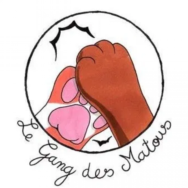 Photo de Le Gang des Matous