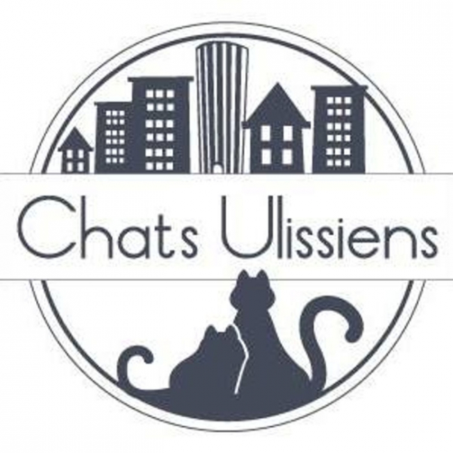 Photo de Chats Ulissiens