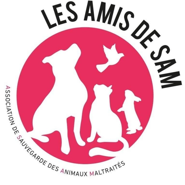 Photo de Les Amis de Sam