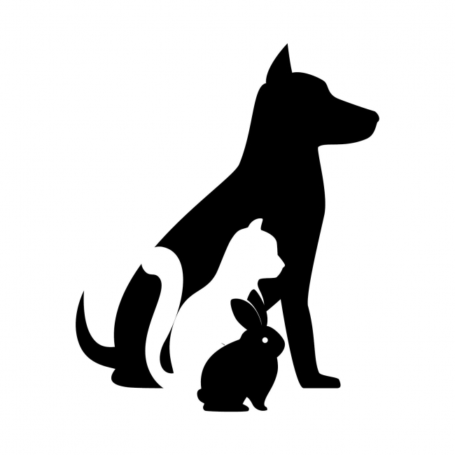 Photo de Adoptanimaux