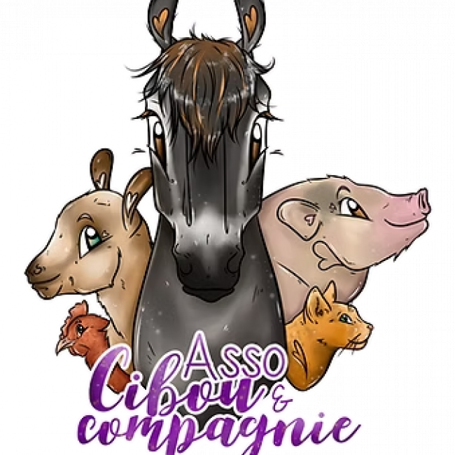Photo de Association Cibou et Compagnie
