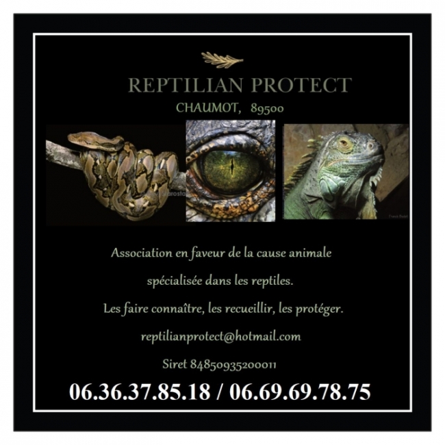 Photo de Reptilian Protect