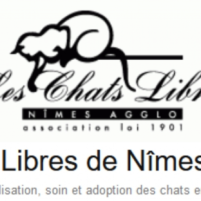 Photo de Chats libres de Nîmes-agglo