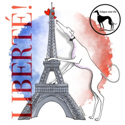 Association Galgos New Life