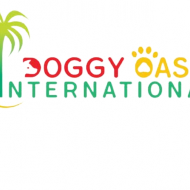 Photo de DOGGY OASIS INTERNATIONAL