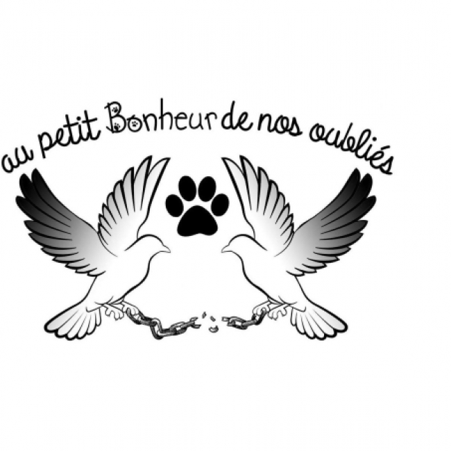 Photo de Association au petit bonheur de nos oubliés