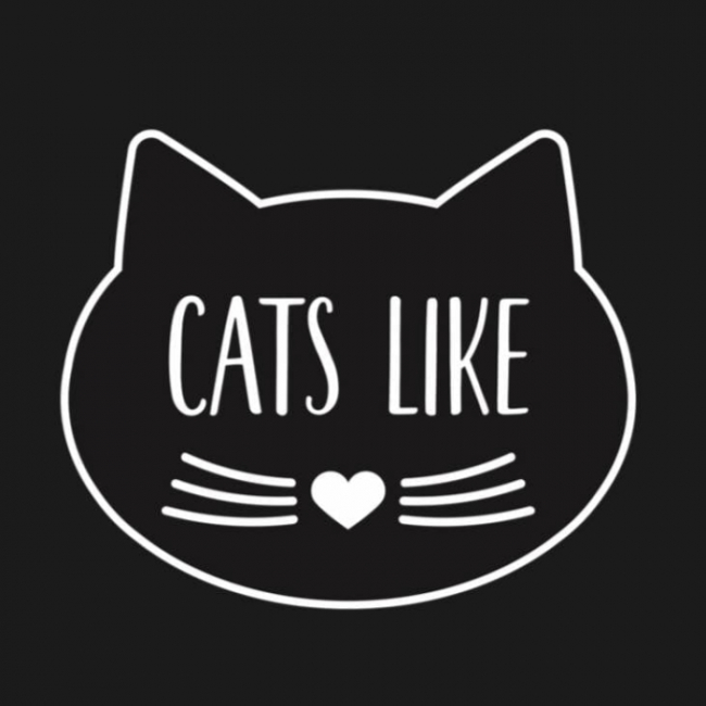 Photo de CATS LIKE
