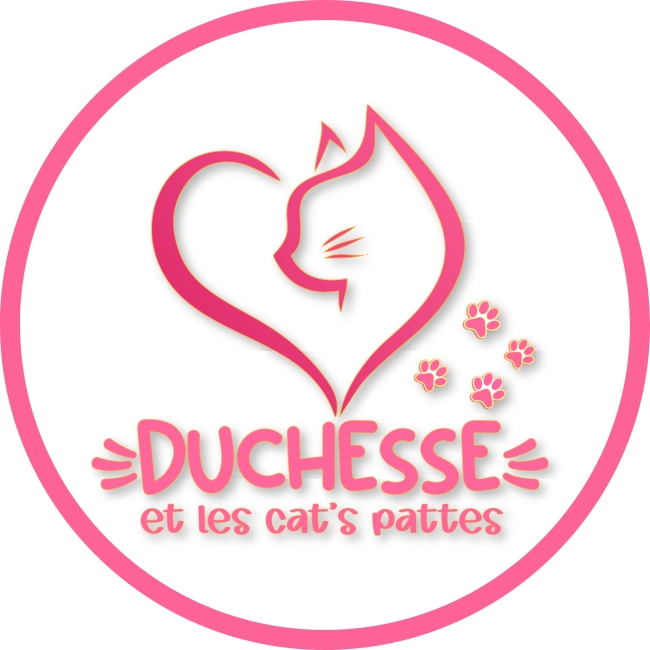 Photo de Association Duchesse et les cats pattes