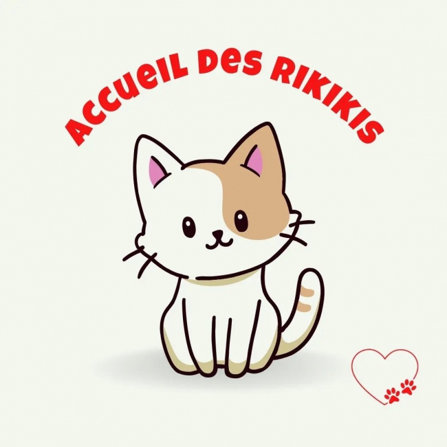 Photo de Accueil des Rikikis