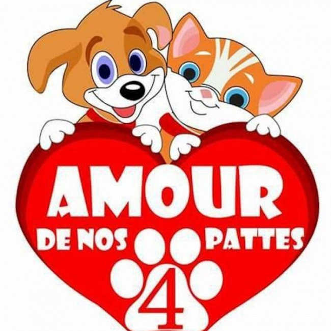 Photo de Amour de nos 4 pattes