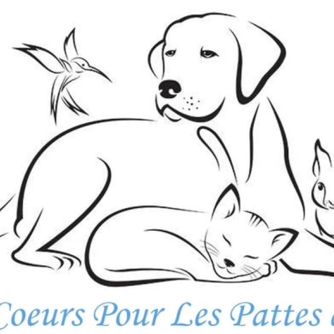 Photo de Association Des coeurs pour les pattes du 93