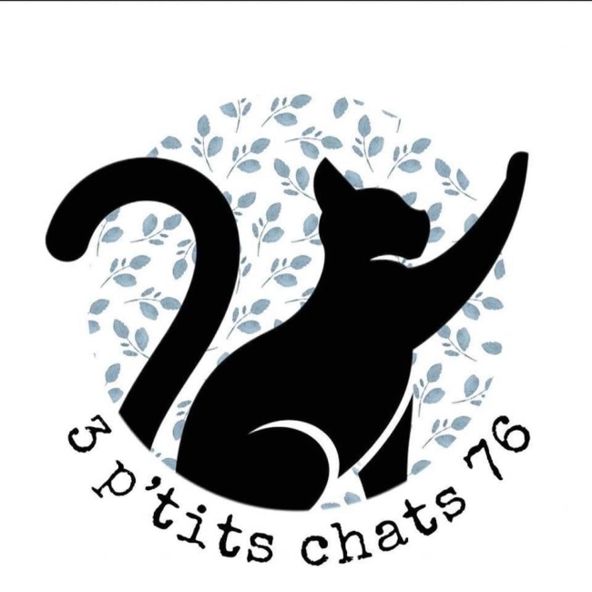 Photo de 3 p'tits chats 76