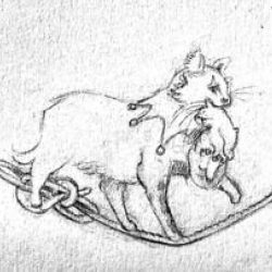 Association Les Chaltimbanques