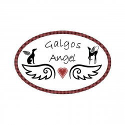GALGOS ANGEL