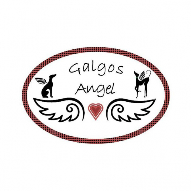Photo de GALGOS ANGEL
