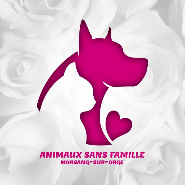 Photo de Animaux sans famille