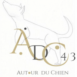 Autour du chien 43