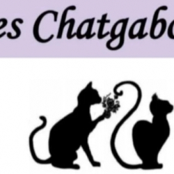 Les Chatgabonds